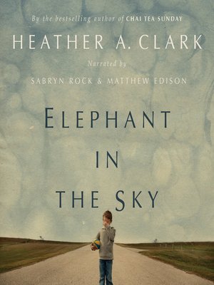 cover image of Elephant in the Sky